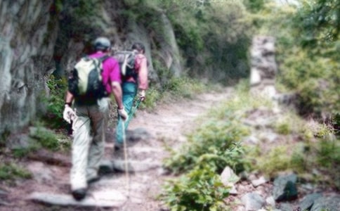 ��ɽ�Ļ�߻���